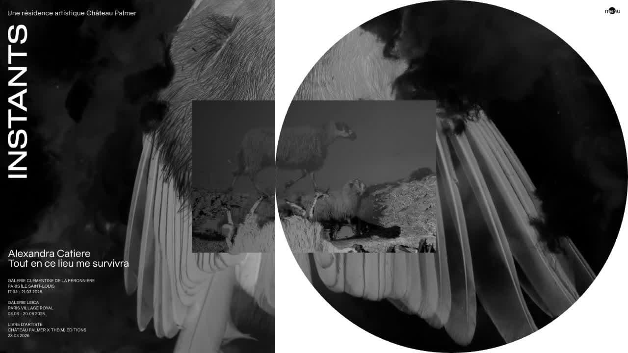 Screenshot of Instants