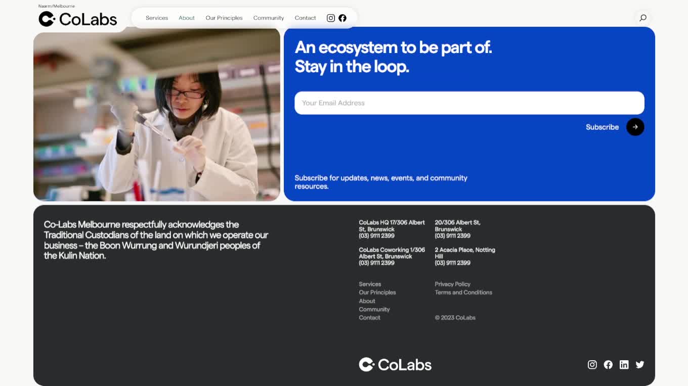 Screenshot of Colabs