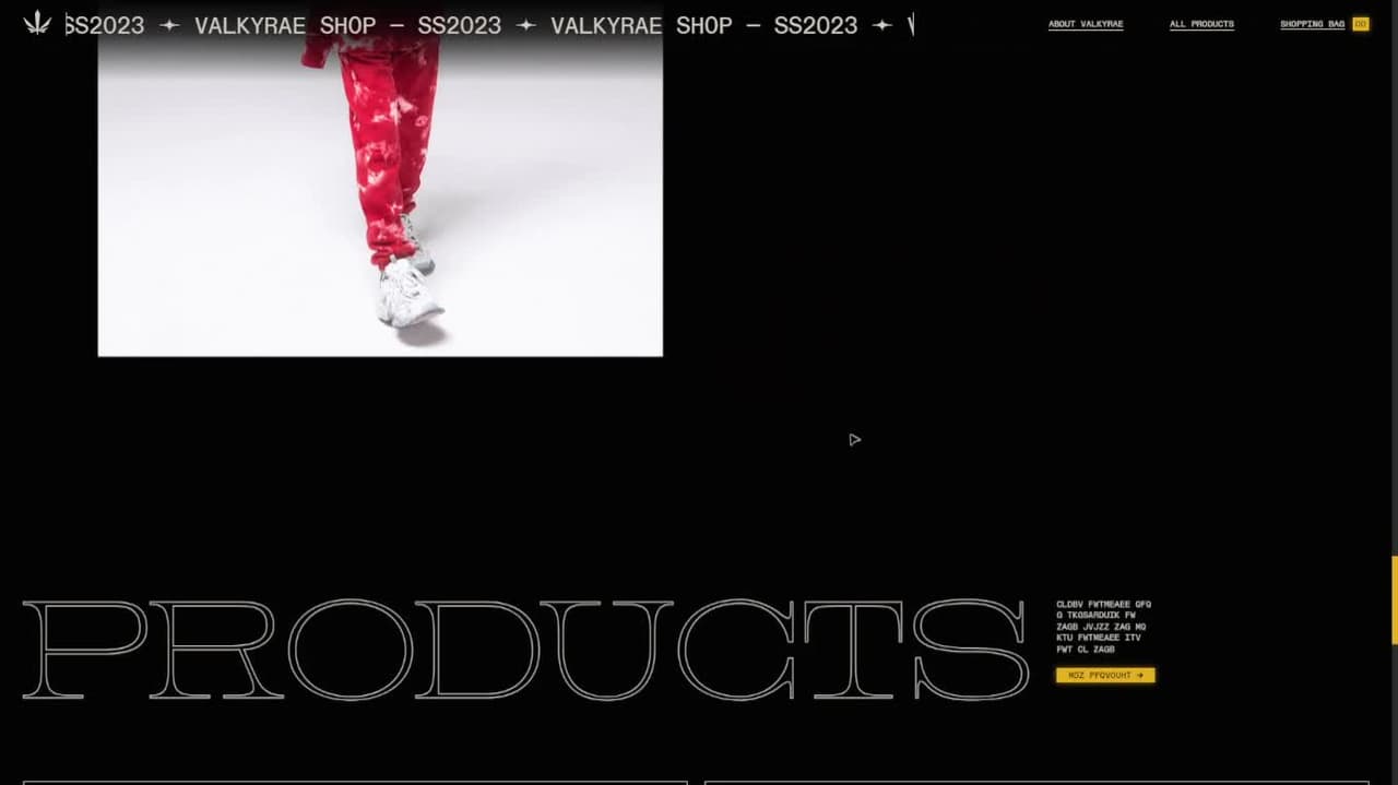 Screenshot of Valkyrae Store